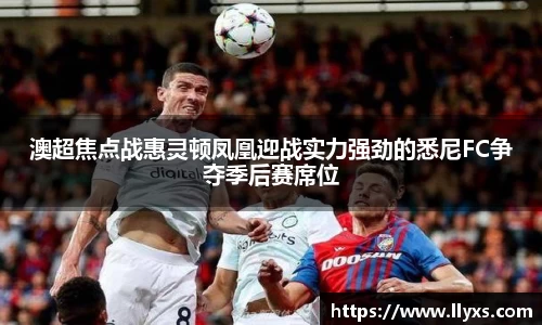DG视讯平台